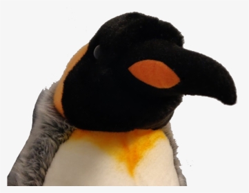 Just One Second - King Penguin, HD Png Download, Transparent PNG