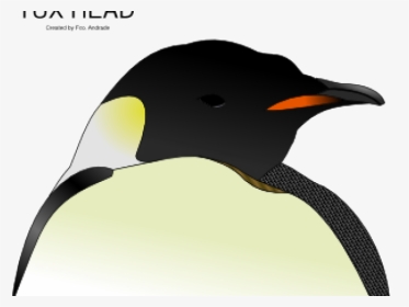 Emperor Penguin Clipart Penguin Head - Penguin Head Clipart, HD Png Download, Transparent PNG