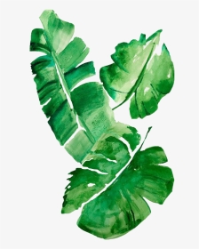 Tropical Leaves Watercolor Png, Transparent Png, Transparent PNG