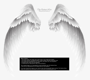 White Angel Wings Png - Transparent Background Angel Wings, Png Download, Transparent PNG