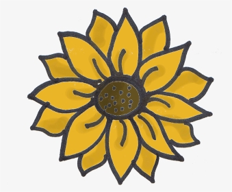 Show Posts Corbell In - Sunflower Easy Flower Drawings, HD Png Download, Transparent PNG