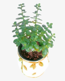 Flower Pot Green Plant - Houseplant, HD Png Download, Transparent PNG