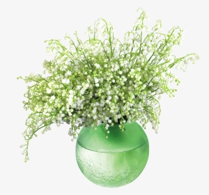 Lily Of The Valleyin Vase Png Clip Art Image - Flower Vase Png Cli, Transparent Png, Transparent PNG