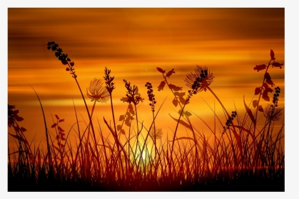 #sunrise #overlay #background #grass - Sunset, HD Png Download, Transparent PNG