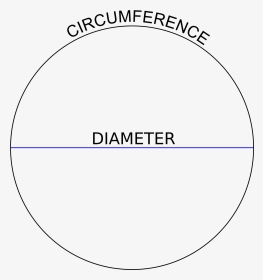 Filecircle Diameter Circumference - Diameter Of A Circle, HD Png Download, Transparent PNG