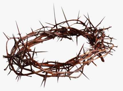 Jesus With Crown Of Thorns Christian Cross Gospel Spines - Crown Of Thorns, HD Png Download, Transparent PNG