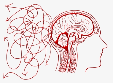 Nervous System Diagram Drawing, HD Png Download, Transparent PNG