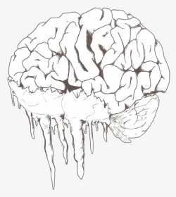 Freeze By Nightmareeden On - Transparent Brain Drawing, HD Png Download, Transparent PNG