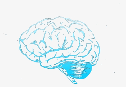 Brain While Sleeping Gif, HD Png Download, Transparent PNG