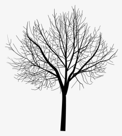 Thumb Image - Animation Trees, HD Png Download, Transparent PNG
