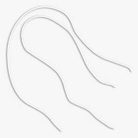 Shsc Snare Cord - Wire, HD Png Download, Transparent PNG
