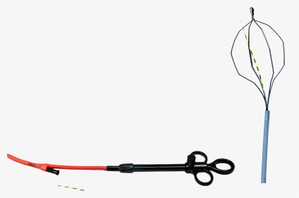 Leash, HD Png Download, Transparent PNG