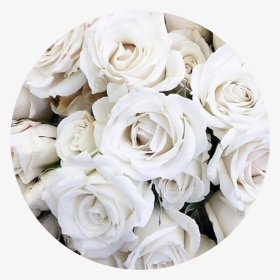 #circle #aesthetic #white #rose #roses #flower #flowers - Aesthetic White Flowers, HD Png Download, Transparent PNG