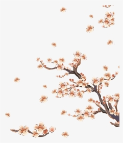 手绘梅花装饰 - Adesivo Árvore Oriental, HD Png Download, Transparent PNG