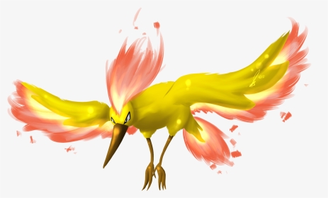 [​img] - Pokemon Legendary Moltres Transparent, HD Png Download, Transparent PNG