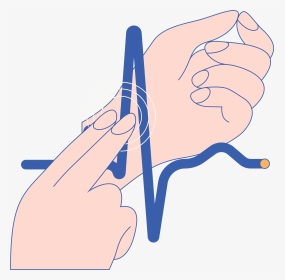 Pulse Palpationa Health-care Practitioner Can Check, HD Png Download, Transparent PNG