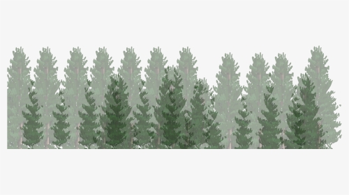 Big Bear Inn - Christmas Tree, HD Png Download, Transparent PNG