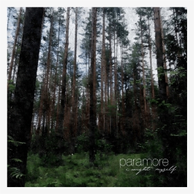 Spruce-fir Forest, HD Png Download, Transparent PNG