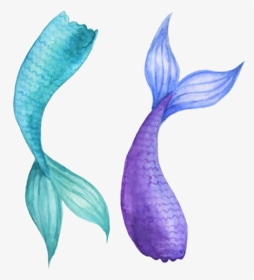 #watercolor #mermaidtail #mermaid #tail #teal #purple - Mermaid Tail Watercolor, HD Png Download, Transparent PNG