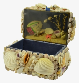 Natural Seashell Treasure Box - Cradle, HD Png Download, Transparent PNG