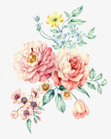 #flower #flowers #peony #peonia #color #pastel #watercolor - Peony, HD Png Download, Transparent PNG