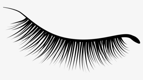 Eye Brows Png, Transparent Png, Transparent PNG