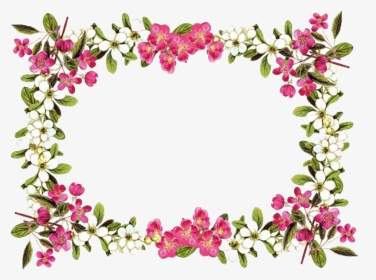 Thumb Image - Flower Borders, HD Png Download, Transparent PNG