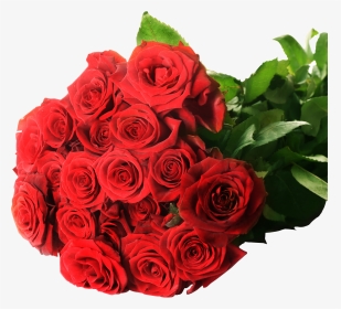 Rose Png, Transparent Png, Transparent PNG