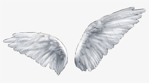 #angel #wings #sticker #overlay #aesthetic #freetoedit - Angel Wings Transparent Background, HD Png Download, Transparent PNG