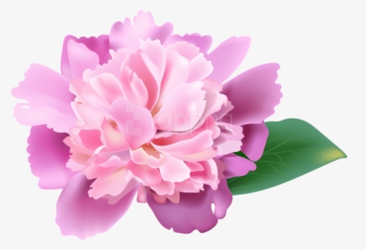 Peony Transparent Cherry Blossom - Realistic Flower Clip Art, HD Png Download, Transparent PNG