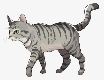 Tabby Cat, HD Png Download, Transparent PNG