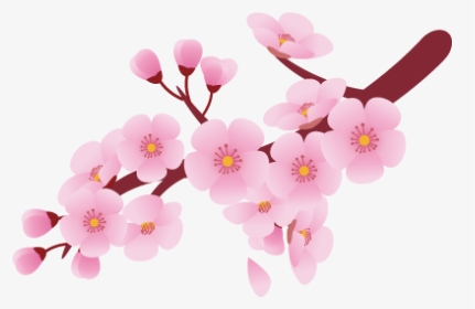 Pattern Drawing Cherry Blossom - Flower Cherry Blossom Clipart, HD Png Download, Transparent PNG