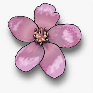 Blossom Ostara Transparent Png Clipart Free Download - Easy Peach Blossom Drawing, Png Download, Transparent PNG
