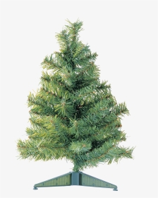 Christmas Tree Png, Transparent Png, Transparent PNG
