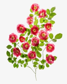 春天绿色植物花朵小清新元素设计 - Bouquet, HD Png Download, Transparent PNG