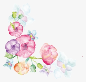 康乃馨花茶美容饮品实物免抠png素材 - Artificial Flower, Transparent Png, Transparent PNG