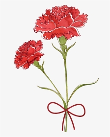 Flower Watercolor Painting Transprent Png Free Download - Carnation Vector Free, Transparent Png, Transparent PNG