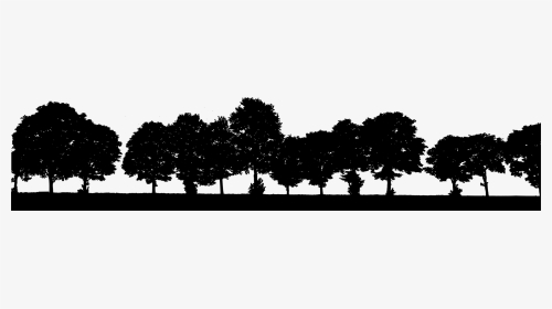 Pine Family,plant,leaf - Row Of Trees Silhouette Clipart, HD Png Download, Transparent PNG