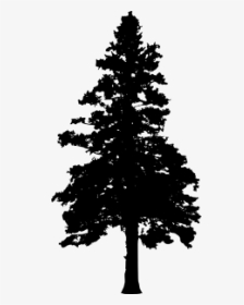 30 Pine Tree Silhouette Vol - Silhouette Pine Tree With No Background, HD Png Download, Transparent PNG