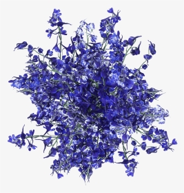 Fresh Blue Volken Delphinium Flowers - Artificial Flower, HD Png Download, Transparent PNG