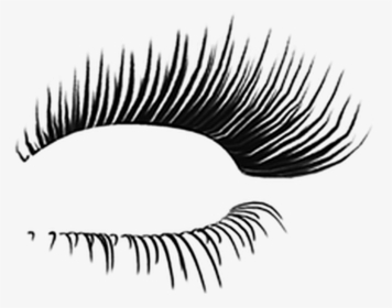 #eyelashes #formspedit enjoy Using It Aswell Follow - Eyelashes Png, Transparent Png, Transparent PNG