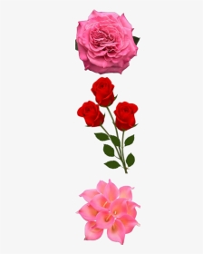 Happy New Year 2020 With Red Rose, HD Png Download, Transparent PNG
