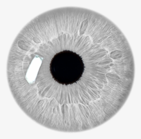 White Eye Png -eye Stickers Transparent Grey Filter - Eye Lens Png Hd, Png Download, Transparent PNG