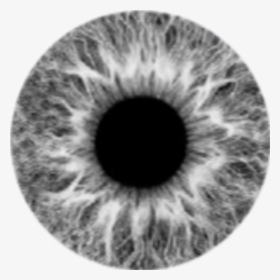 #grey #lens #eye #eyes #moon #gri #lens #göz - Gray Eye Lens Png, Transparent Png, Transparent PNG