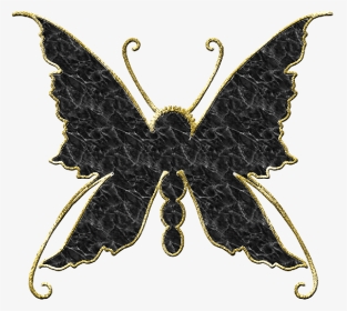 Photography, HD Png Download, Transparent PNG