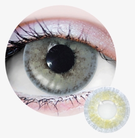 Eye Lense Png, Transparent Png, Transparent PNG