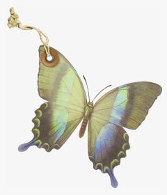 Earrings, HD Png Download, Transparent PNG