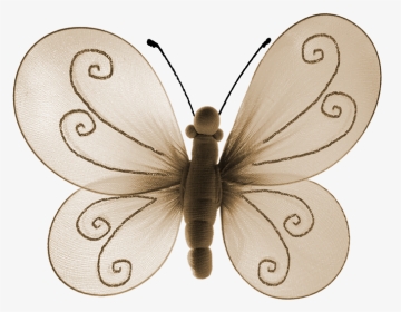 Butterfly, HD Png Download, Transparent PNG