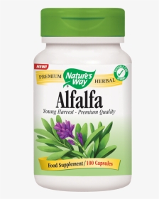 Alfalfa Capsules - Nature's Way Licorice Root, HD Png Download, Transparent PNG