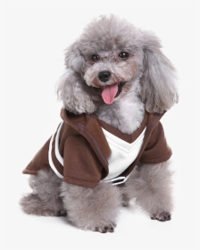 Dog Costume Star Wars Transparent, HD Png Download, Transparent PNG